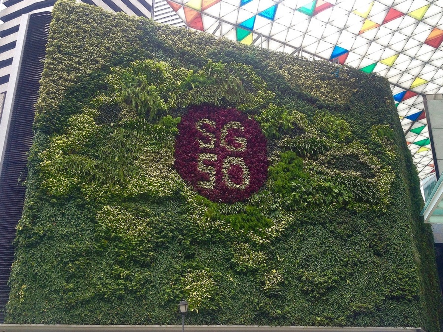 #SG50