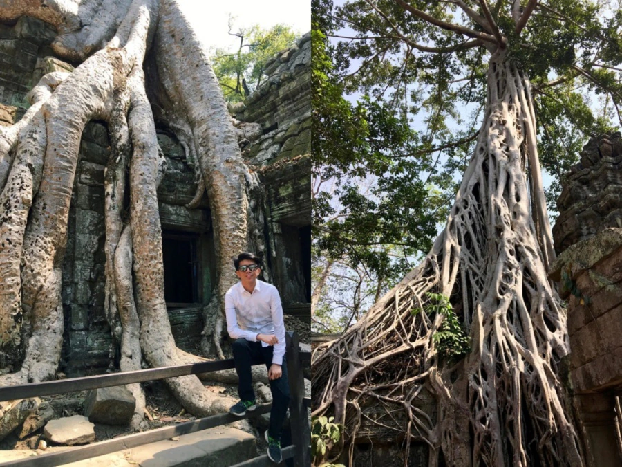 Ta Prohm | Angkor Archaeological Park Siem Reap Cambodia
