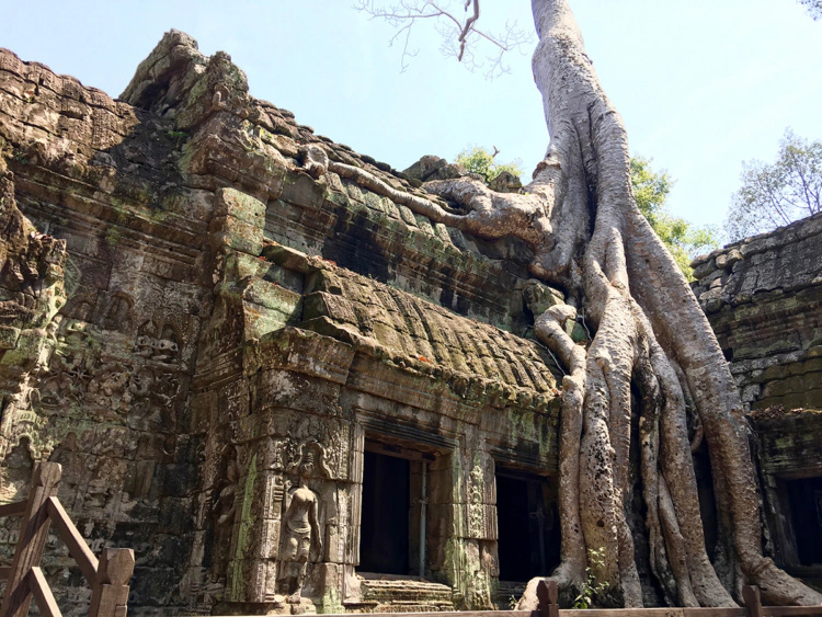 Angkor Archaeological Park: A Guide to Angkor Wat and Other Temples in Siem Reap, Cambodia