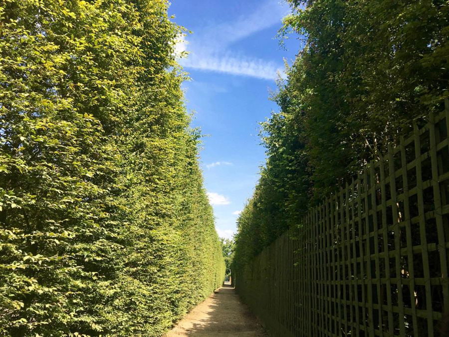 Gardens of Versailles