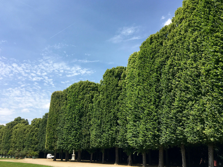 Gardens of Versailles