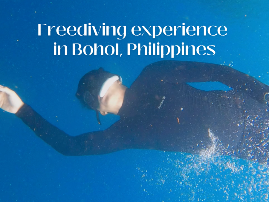 A tick off my bucket list: My first freediving experience in Panglao, Bohol
