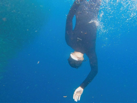 Freediving in Panglao, Bohol, Philippines | My Freediving Experience in Bohol, Philippines