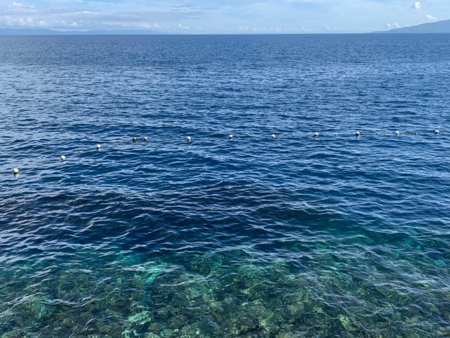 Panglao Kalikasan Dive Resort | Freediving in Bohol, Philippines