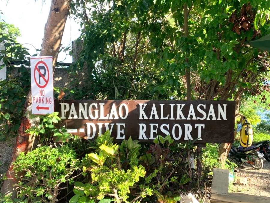 Panglao Kalikasan Dive Resort | Freediving in Bohol, Philippines