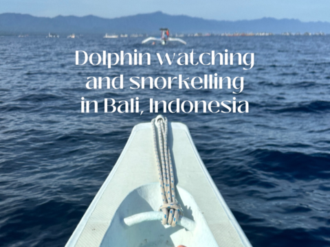 Fun water activities in Lovina in northern Bali