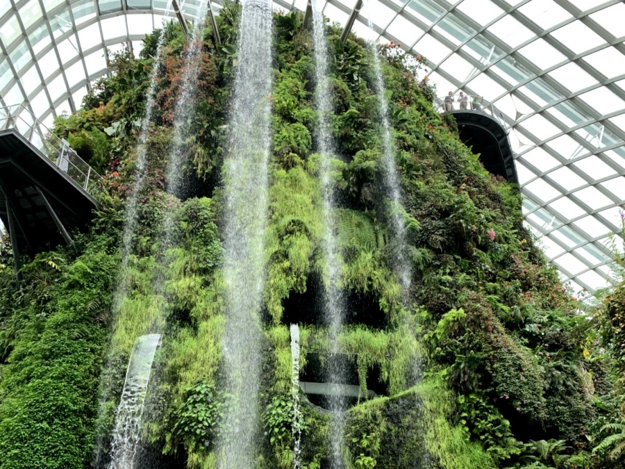 Cloud Forest | Gardens By The Bay, Singapore