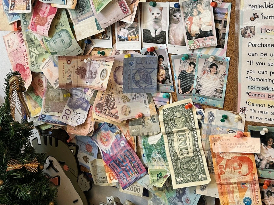 Caturday Cat Cafe Photo Wall Bangkok Thailand