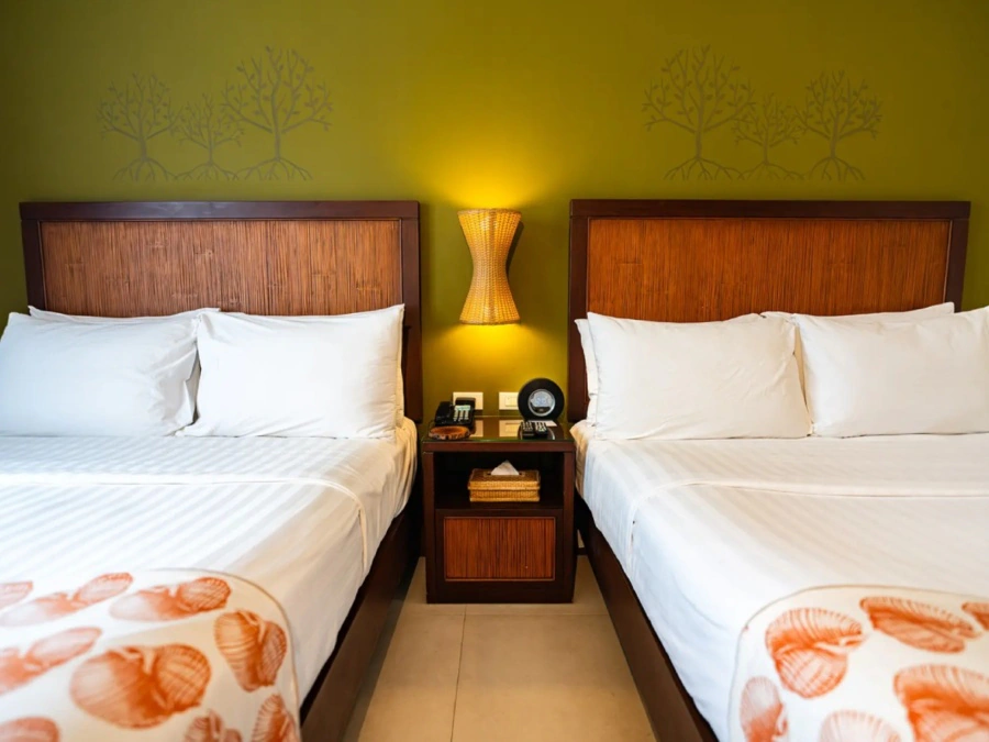 Bacau Bay Resort Coron Deluxe Room