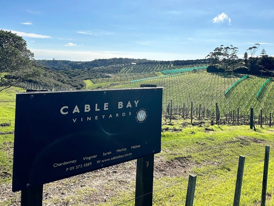 Cable Bay Vineyards Auckland New Zealand
