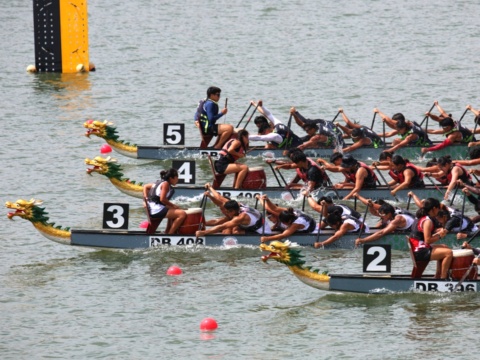 Best Dragon Boat Teams in Singapore: International Teams to Paddle With