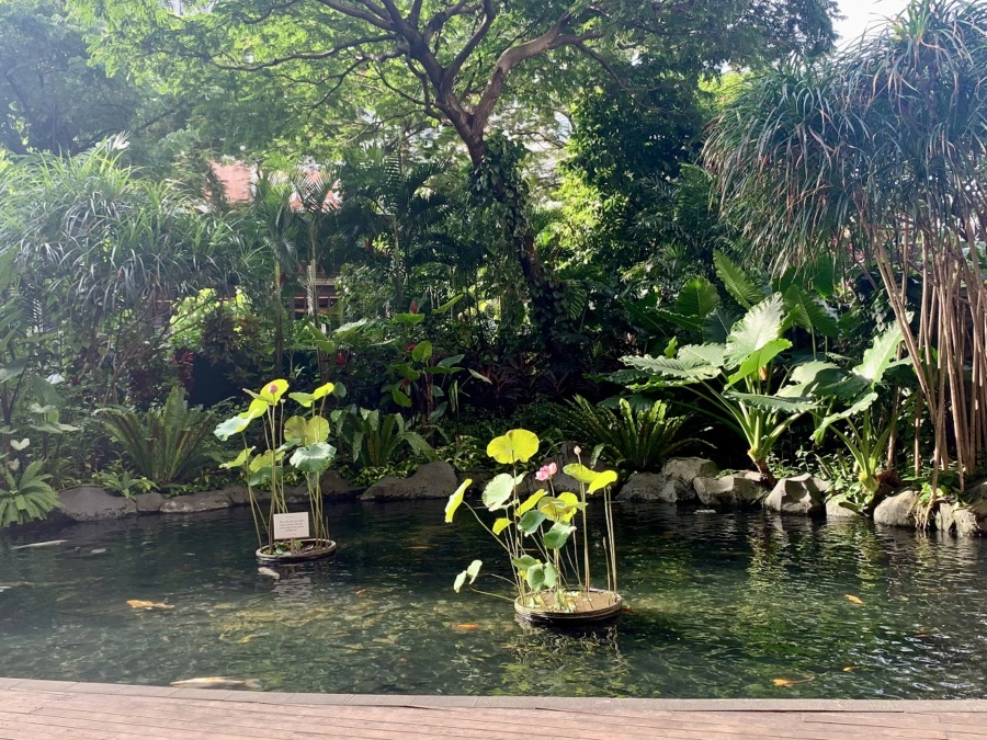 Tribeca Park Central Park Mall Jakarta Indonesia