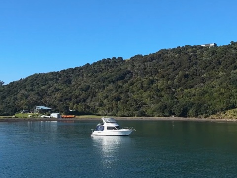 Waiheke Island Day Trip from Auckland CBD: Vineyards, Wineries, and Coastal Views