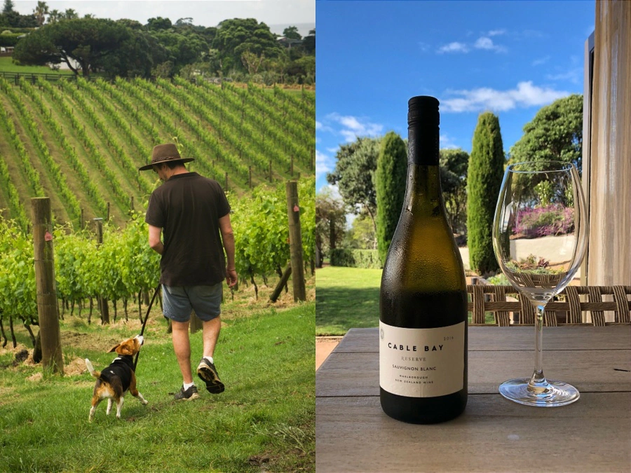 Ashton Hendriks Reserve Sauvignon Blanc