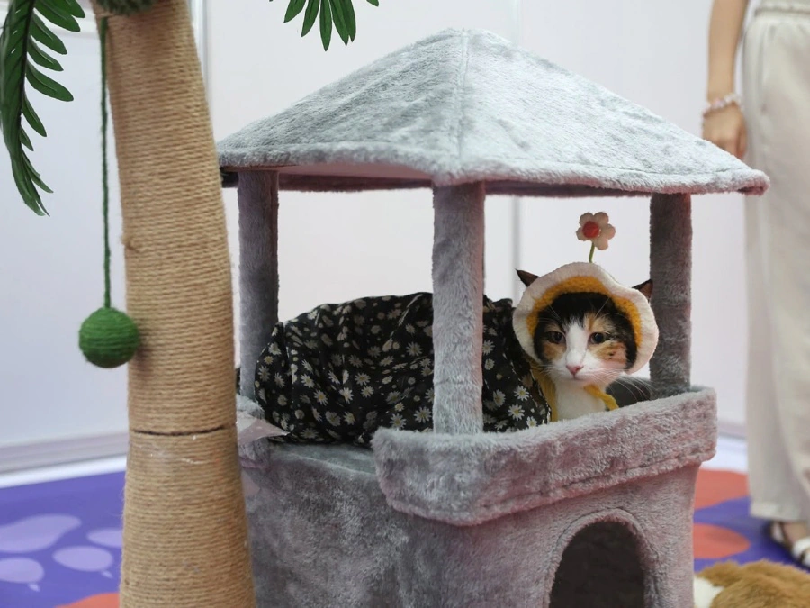 World Pet Expo Manila